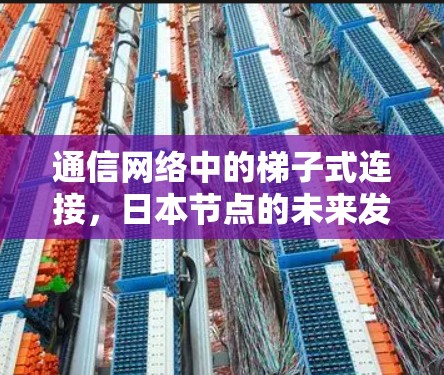 通信网络中的梯子式连接,日本节点的未来发展方向