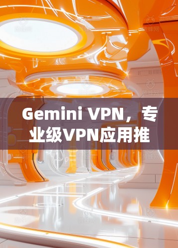 Gemini VPN,专业级VPN应用推荐