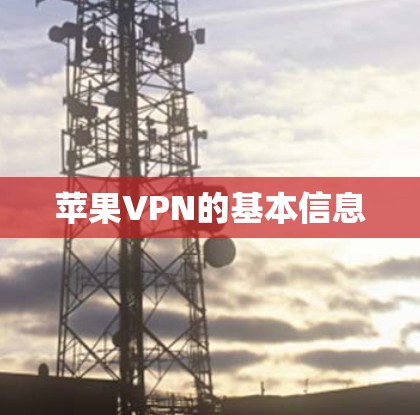 苹果VPN的基本信息