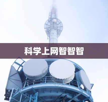 科学上网智智智