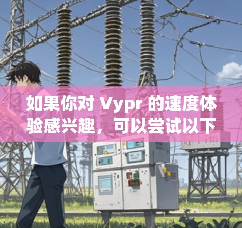 如果你对 Vypr 的速度体验感兴趣,可以尝试以下几点测试