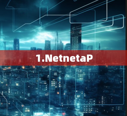 1.NetnetaP