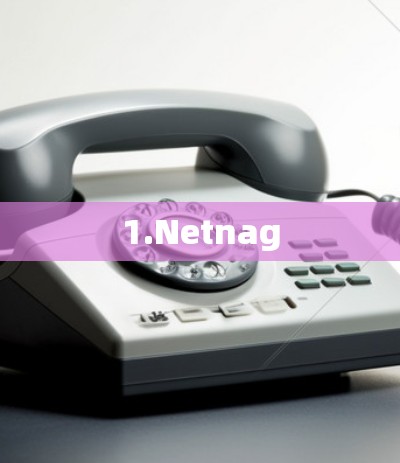 1.Netnag