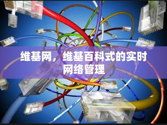维基网,维基百科式的实时网络管理