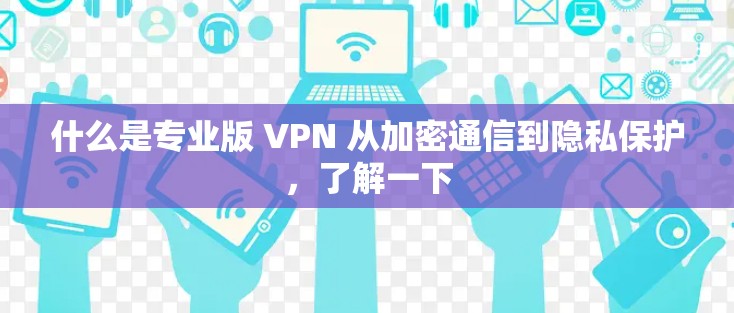 什么是专业版 VPN 从加密通信到隐私保护,了解一下