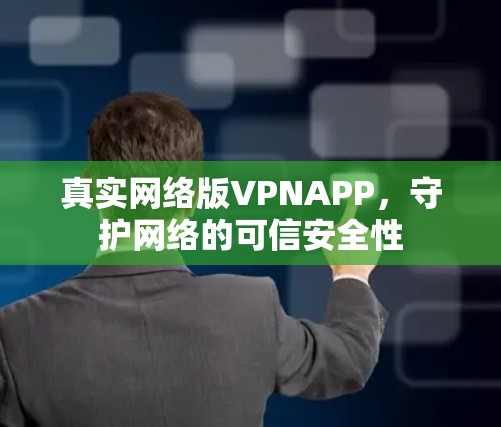 真实网络版VPNAPP,守护网络的可信安全性