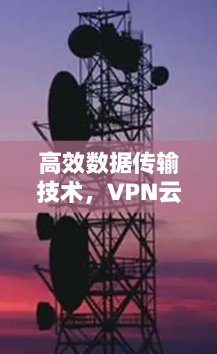 高效数据传输技术,VPN云加速方案