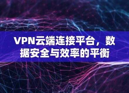 VPN云端连接平台，数据安全与效率的平衡