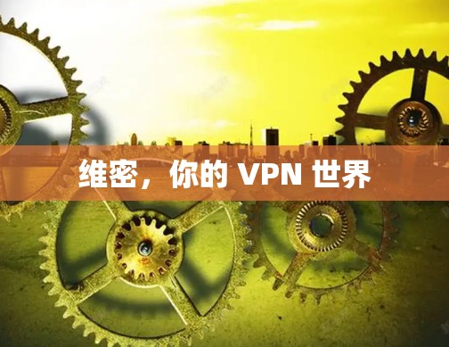 维密，你的 VPN 世界