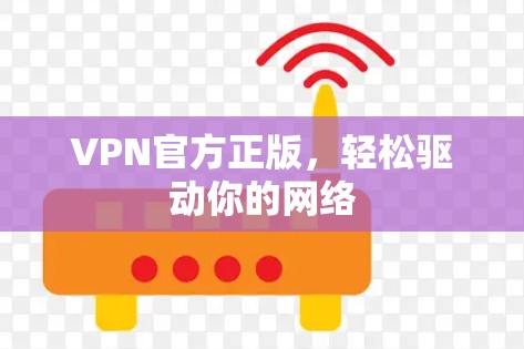 VPN官方正版,轻松驱动你的网络