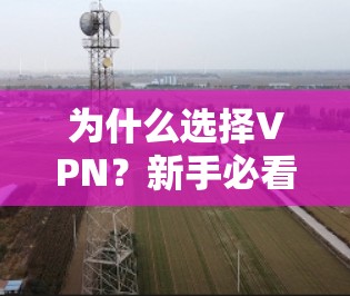 为什么选择VPN?新手必看指南