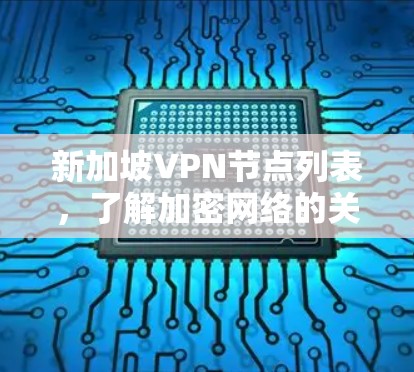 新加坡VPN节点列表,了解加密网络的关键点