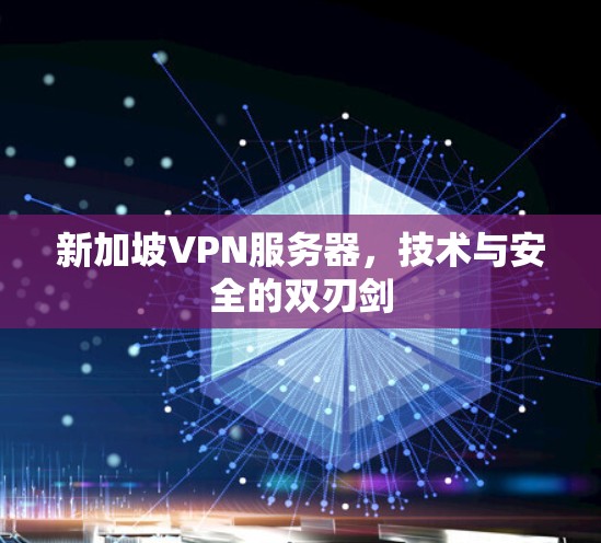 新加坡VPN服务器,技术与安全的双刃剑