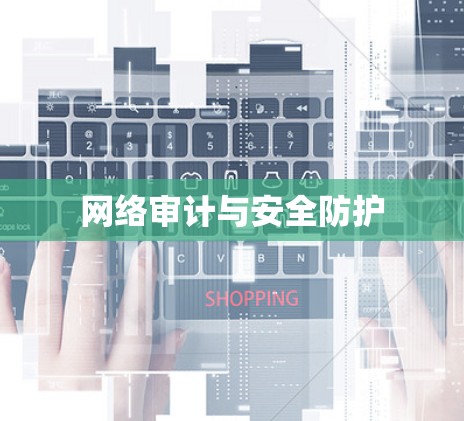 网络审计与安全防护