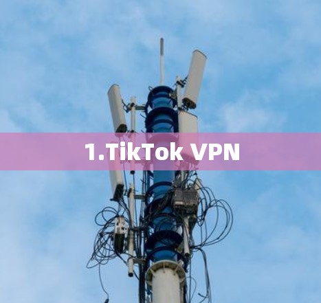 1.TikTok VPN