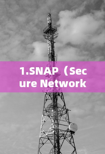 1.SNAP(Secure Network Association)