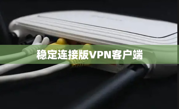 稳定连接版<strong>VPN客户端</strong>