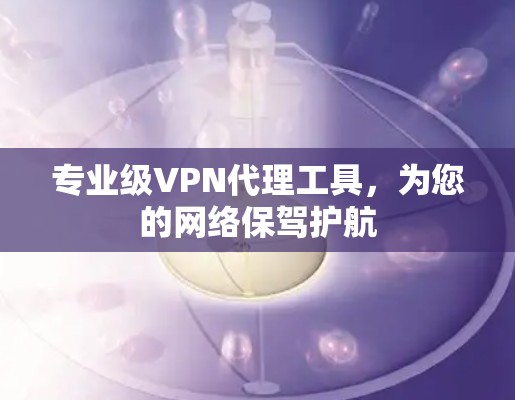专业级VPN代理工具，为您的网络保驾护航