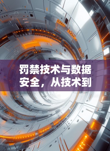 罚禁技术与数据安全，从技术到伦理的双刃剑