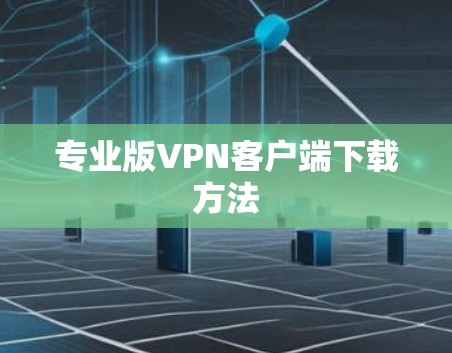 专业版<strong>VPN客户端</strong>下载方法