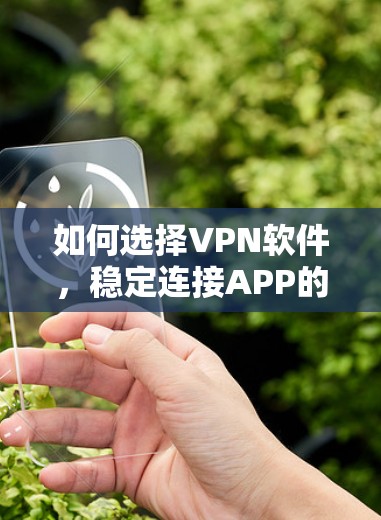 如何选择VPN软件,稳定连接APP的必选之路