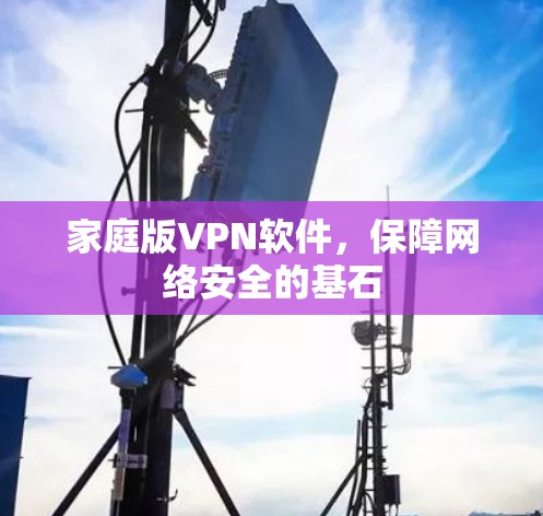家庭版VPN软件，保障网络安全的基石