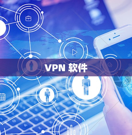 VPN 软件