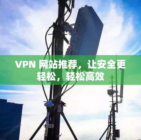 VPN 网站推荐,让安全更轻松,轻松高效