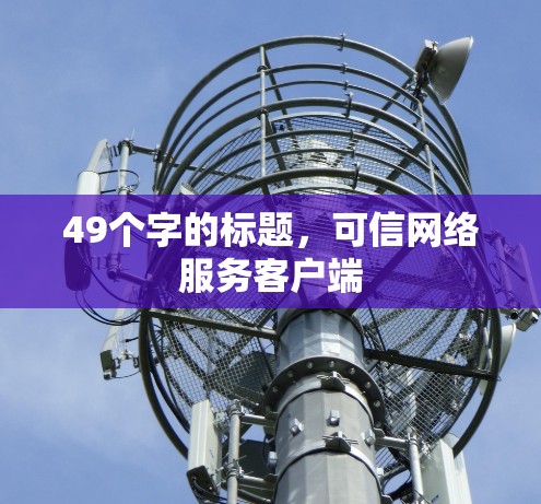 49个字的标题，可信网络服务客户端