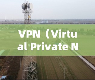 VPN(Virtual Private Network,VPN)是一项技术性的服务,旨在将外部网络接入到内部网络中,提供一种安全、私密的网络连接方式。以下是关于VPN的精选版本的详细介绍
