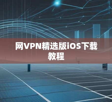 网VPN精选版iOS下载教程