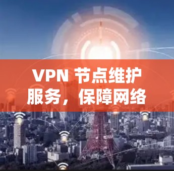 VPN 节点维护服务，保障网络安全，提升用户体验