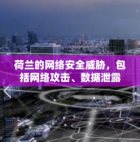 荷兰的网络安全威胁，包括网络攻击、数据泄露和隐私侵犯，也是VPN使用者需要考虑的因素之一。荷兰的网络运营商通常会遵守相关的网络安全法律和标准，以确保数据的安全传输