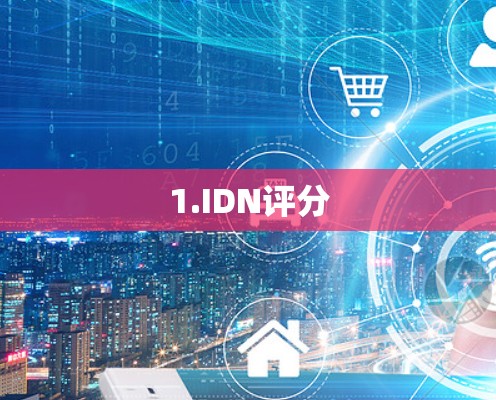 1.IDN评分