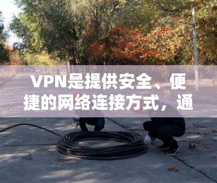 VPN是提供安全、便捷的网络连接方式,通常用于家庭、企业或其他需要访问互联网的场景。以下是几种常见的VPN家庭网络工具及其使用方法