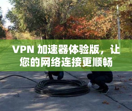 VPN 加速器体验版,让您的网络连接更顺畅