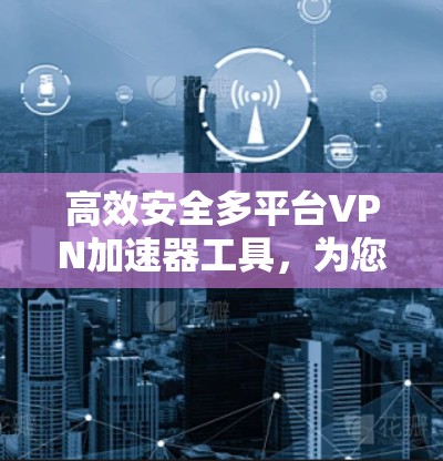 高效安全多平台VPN加速器工具，为您的网络保驾护航