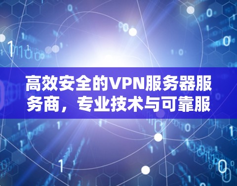 高效安全的VPN服务器服务商，专业技术与可靠服务
