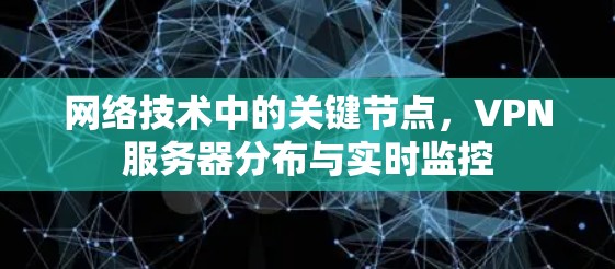 网络技术中的关键节点，VPN服务器分布与实时监控