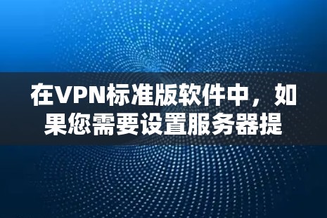 在VPN标准版软件中，如果您需要设置服务器提供商，通常需要使用软件来选择不同的服务器提供商。以下是设置的具体步骤