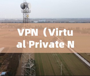 VPN(Virtual Private Network,VPN)是一种通过加密技术将外部网络与内部网络连接,以保护用户的数据和隐私。以下是对VPN的详细总结和建议